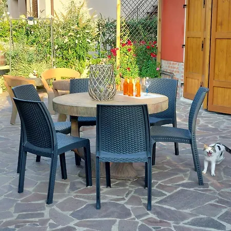 Hébergement de vacances Aurora Monsummano Terme